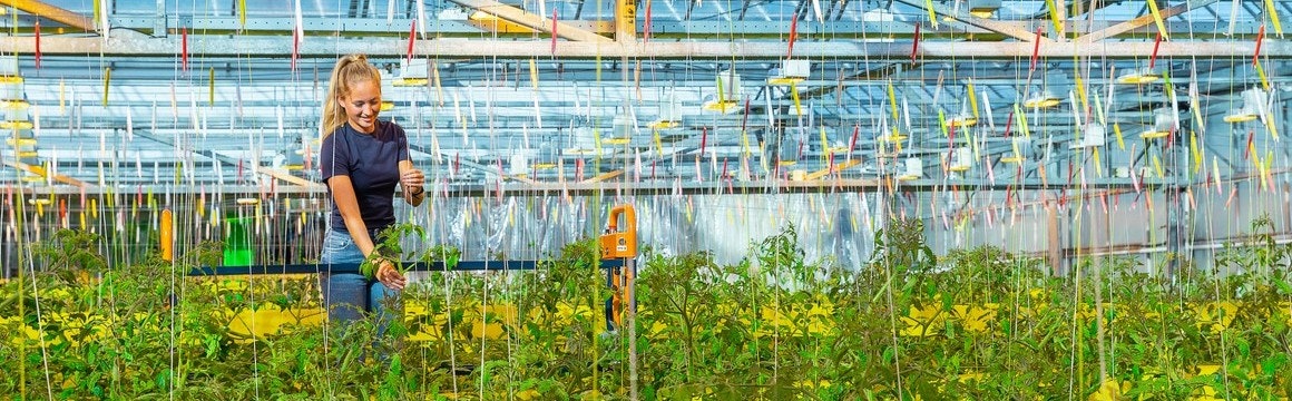adviseur agro