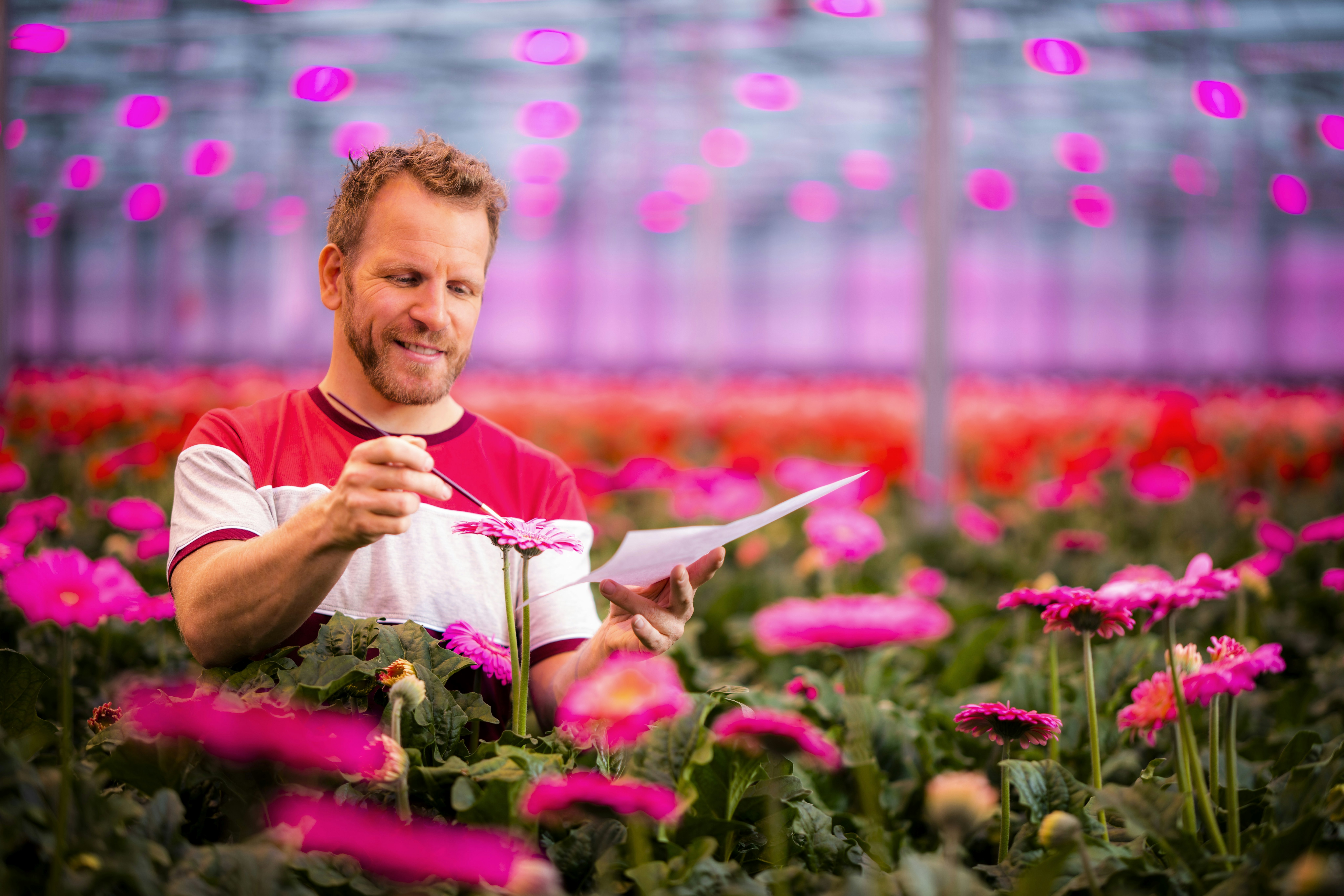 Man tussen bloemen in kas