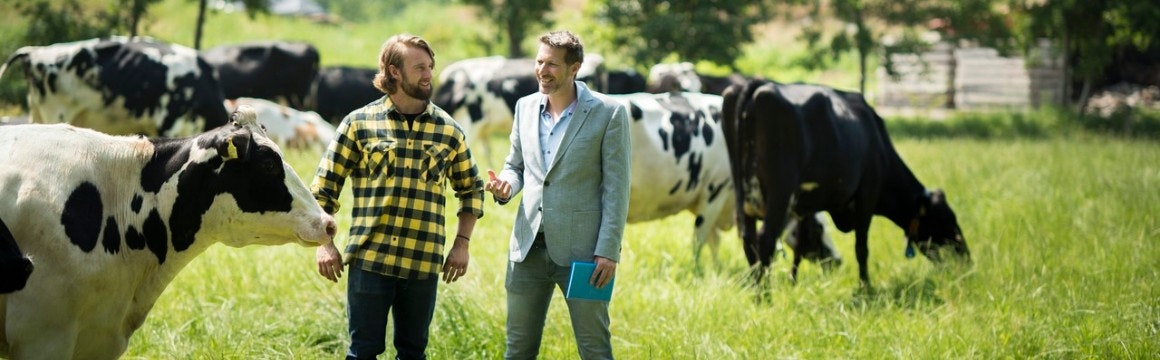 agrarisch ondernemer met adviseur in de wie omringd door koeien