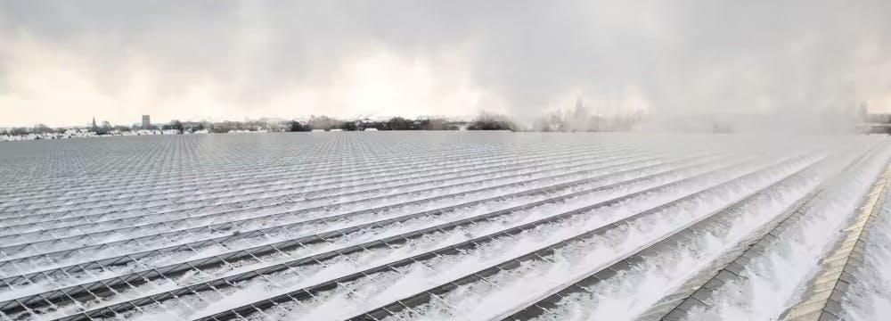 adviseur agro kas winter