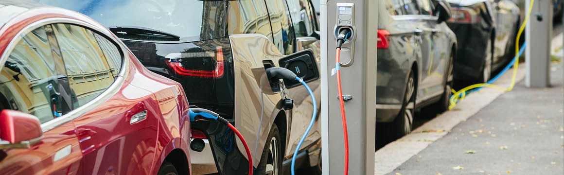 adviseur elektrische auto